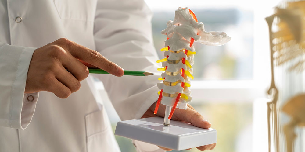 Orthopaedics