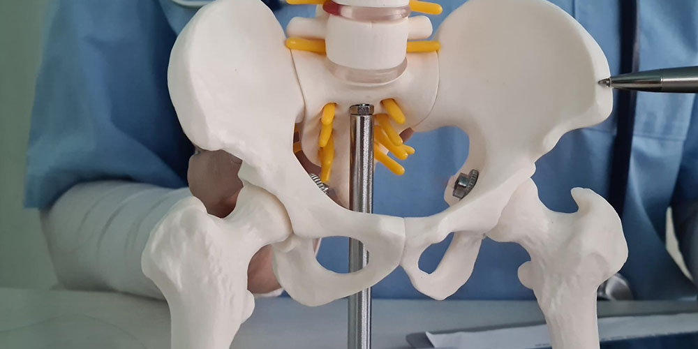 Hip Replacement